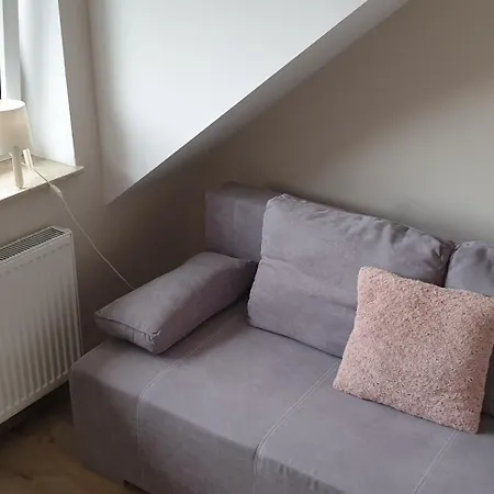 Loqus Apartamenty Studia Pokoje Płock Rom bilde